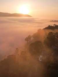 บ้านป่าหมอก