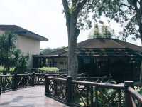 Bringing Nature Home: Unique Souvenirs from Wetland Studios Putrajaya