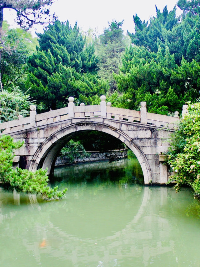 Shanghai: Zuibaichi Park Views🌿🪷 Shanghai: Zuibaichi Park Views🌿🪷
