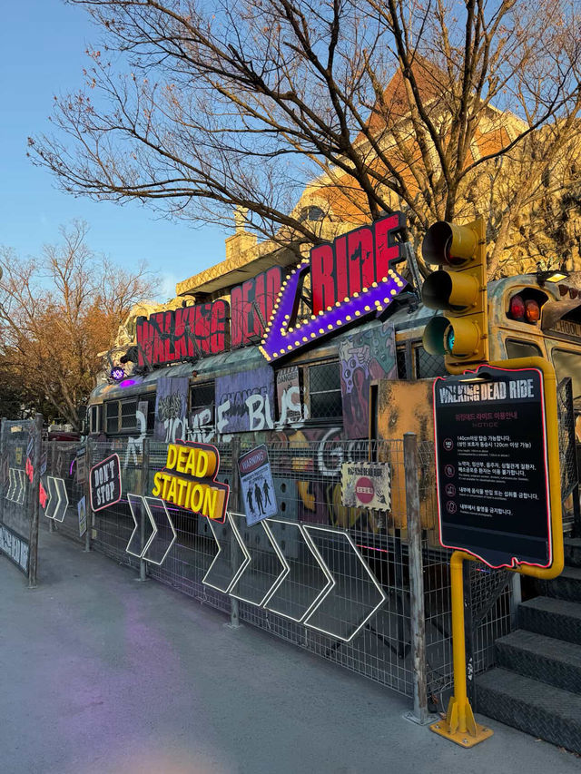 Park Magic Unveiled🌙 Park Magic Unveiled🌙