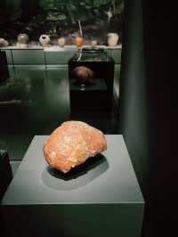 Archaeology Sarawak Gallery – Must-Visit at Borneo Cultures Museum