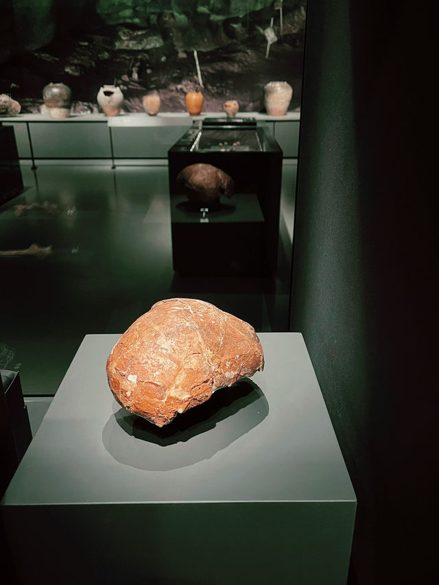 Archaeology Sarawak Gallery – Must-Visit at Borneo Cultures Museum