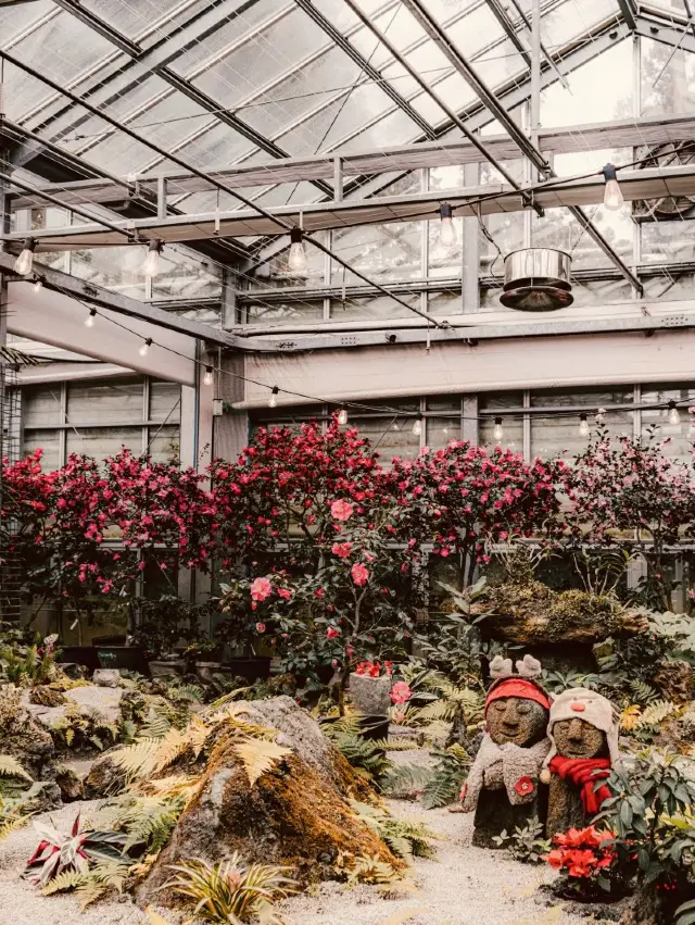 植物設計大師課程