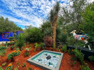 🌵 Tucson Botanical Gardens – A Lush Desert Escape