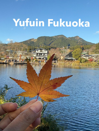 🌸由布院花村🌸由布院,一個迷人的小鎮。