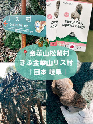 🇯🇵Squirrel Village, Kinkazan, Gifu, Japan🐿️ Japan's first interactive village themed around squirrels.