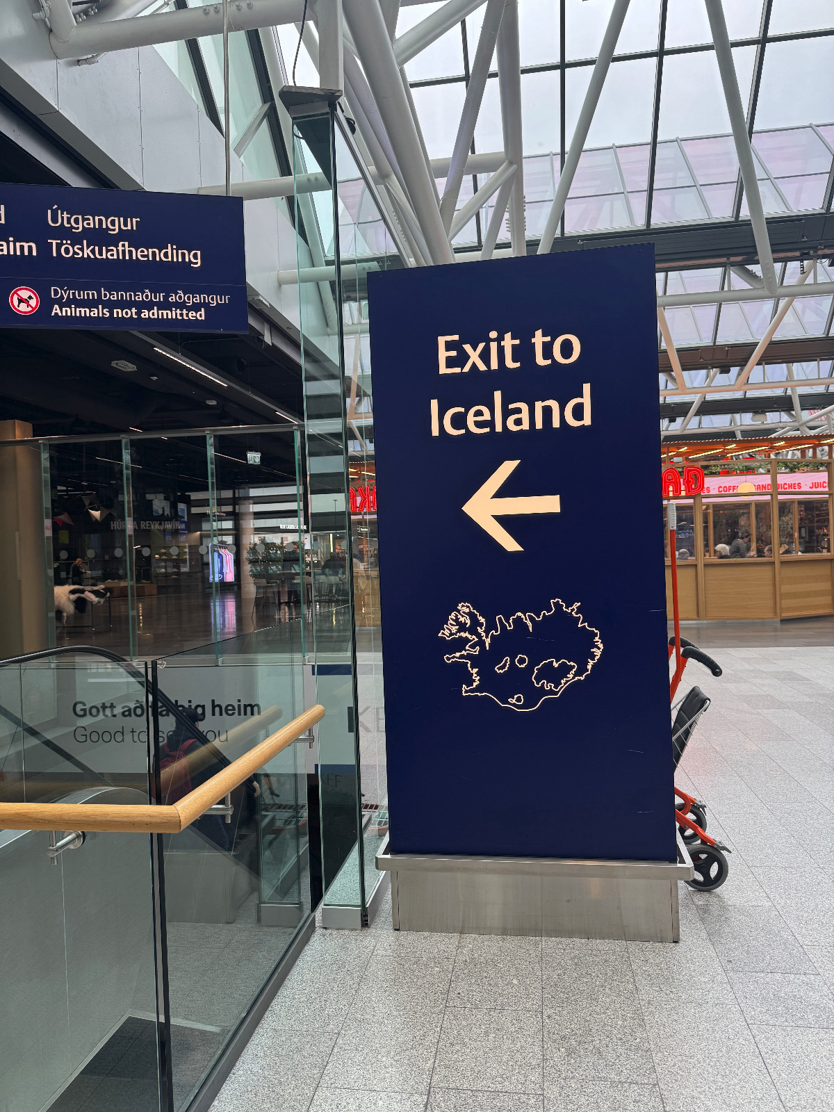 Iceland 2026: The Ultimate Guide to the Land of Fire and Ice