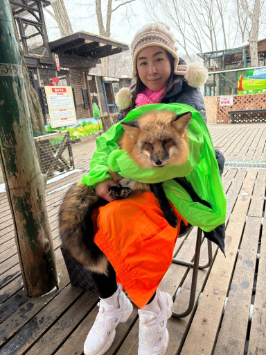 キツネの日常を間近で観察する | Trip.com 白石市