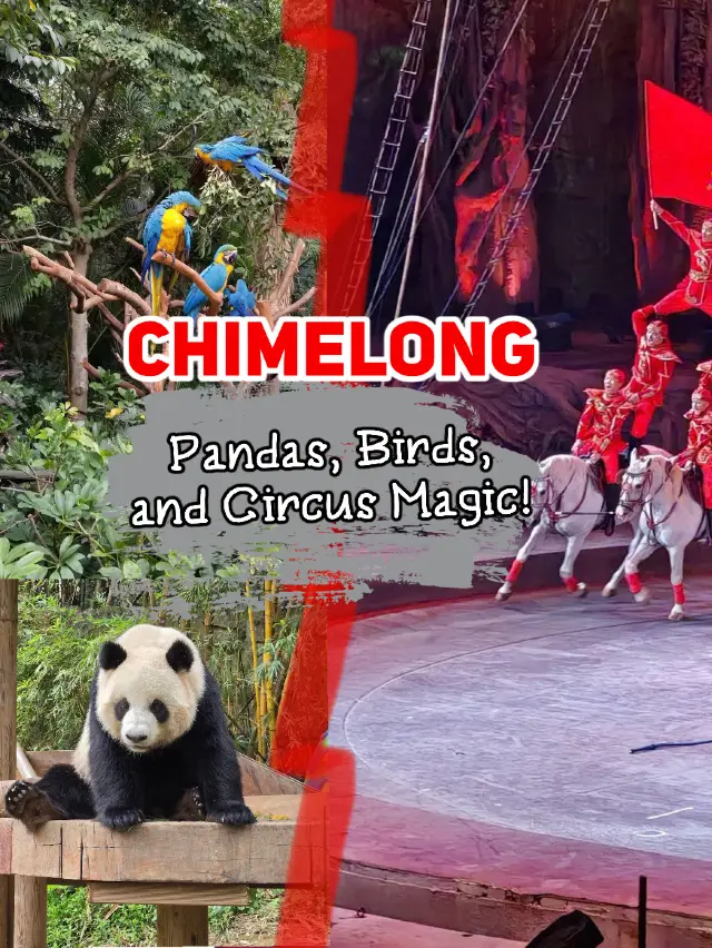 CHIMELONG: The Best Day in Guangzhou!