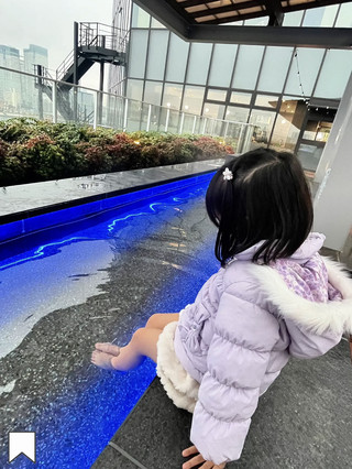 [Toyosu] Jangan Sampai Kelewatan! Spot Tersembunyi di Tempat Hits?!