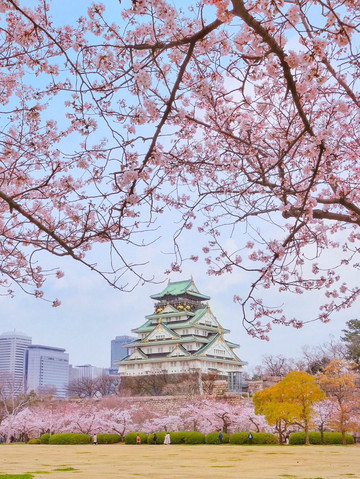 大阪の永遠の魅力を探る - 木立を歩く。 | Trip.com 大阪