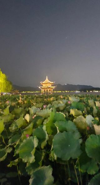 In a chaotic world, inner peace is a rare find; in a fast-paced life, finding your center is a precious treasure. Stargazing through a telescope on a quiet night during your travels offers the ultimate healing tranquility.