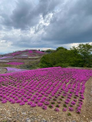 我去了茶臼山高原