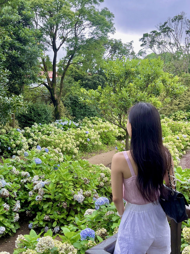 제주 휴애리 📸 사진만 보다가 스케일에 깜짝 놀란 현실 이유 💥