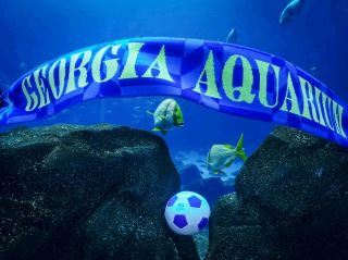 #footballfanculture  

Ready for a dazzling underw