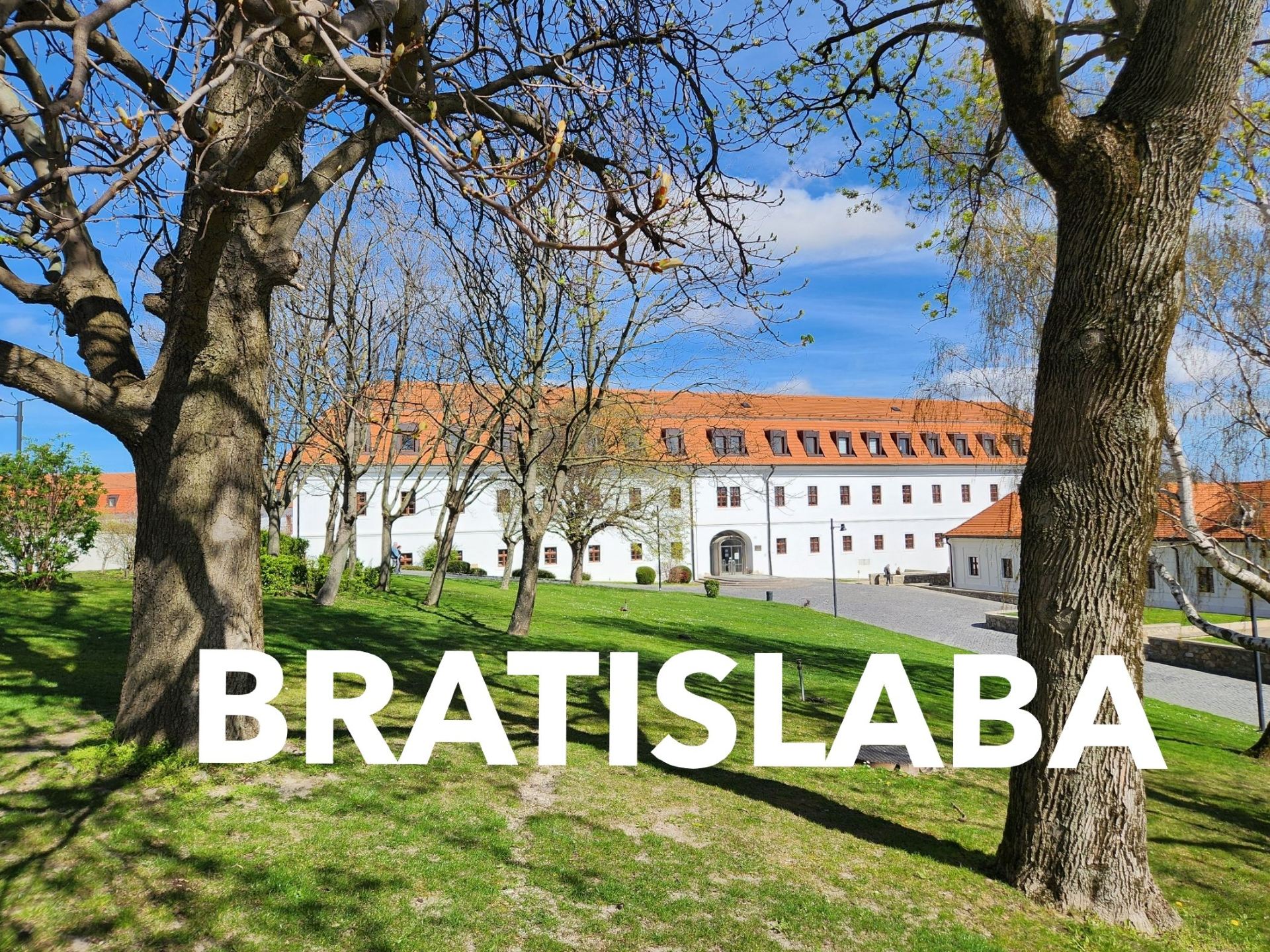 [슬로바키아 여행​]🇸🇰 비엔나 옆 숨은 보석! 착한물가! 슬로바키아 브라티슬라바 1박 2일 후기