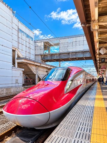 [Dec 2026] Up to 50% OFF Shinkansen Tickets! Save Big on Winter Travel with "Tokudane Special 28" 🚄
