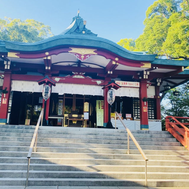 【東京都🇯🇵浅間神社】マイナスイオンたっぷり🌲子宝神社⛩️