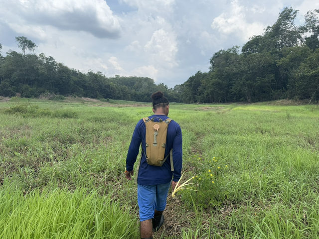 馬瑙斯亞馬遜叢林3天2晚探險旅遊攻略 🏕️