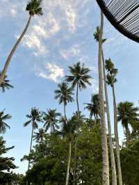 Samal Mango Beach Resort 