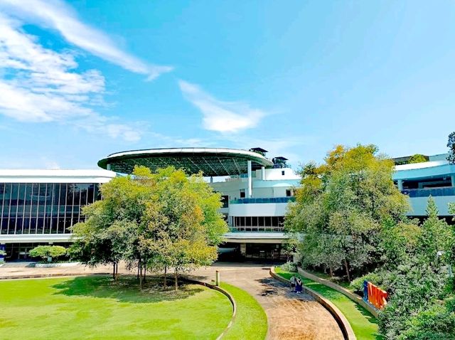 國大大學城