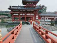 🍵【宇治小旅行｜抹茶香與古韻建築的悠然時光】