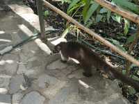 More on atitlan (Panajachel)