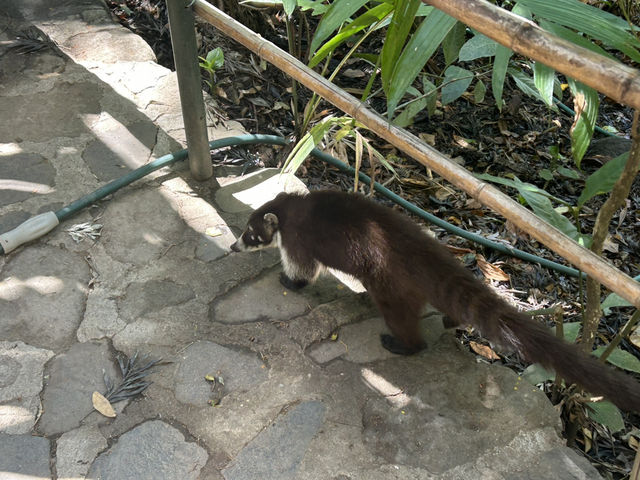 More on atitlan (Panajachel)