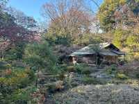 🎋【東京根津美術館 Nezu Museum】都會中的和風秘境🌿｜日式建築＋夢幻庭園＋東洋藝術珍藏｜超值得一訪！