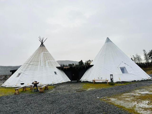 挪威🇳🇴餐廳-Sami Siida馴鹿肉風味餐