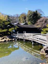 【滋賀県/玄宮園】