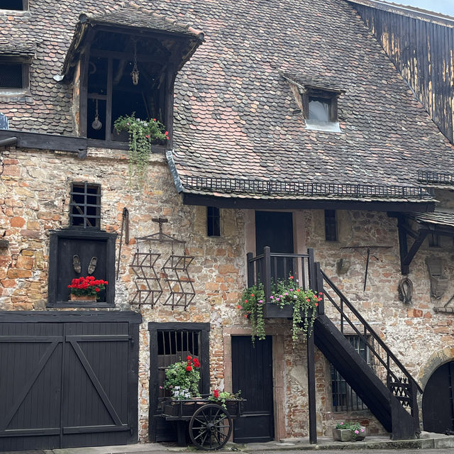 Colmar - cute gem in Alsace 🇫🇷