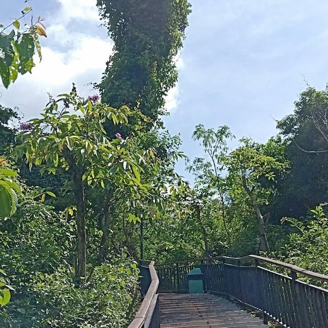 Linchunling Forest Park 🗺️