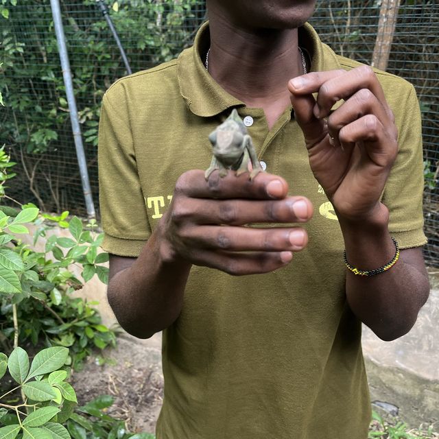 Ethical zoo in 🇹🇿 