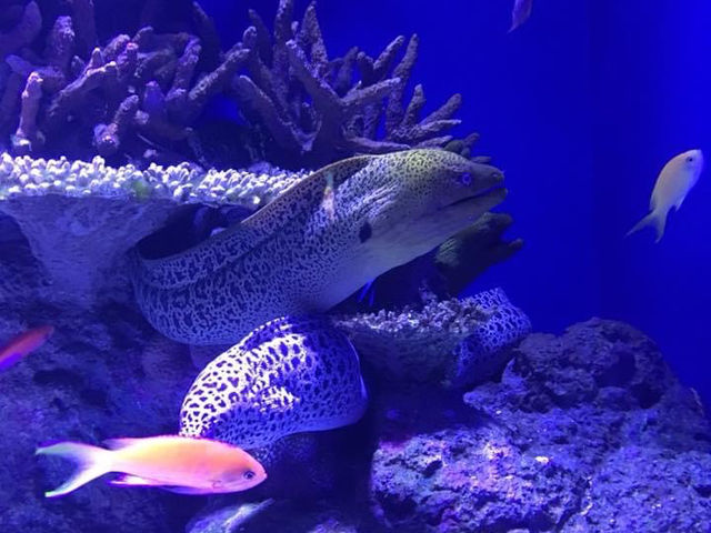 Must Visit: Cairns Aquarium 🇦🇺