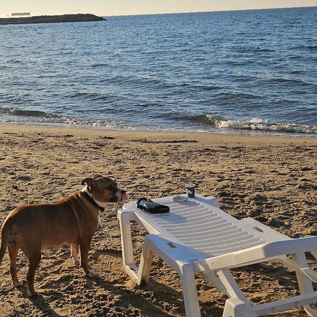 Sunny Beach Bulgaria