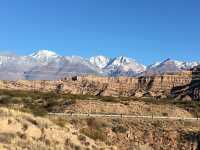 Majestic Mendoza 🍇