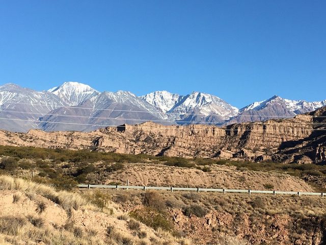 Majestic Mendoza 🍇