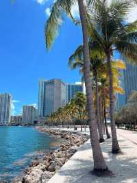 Miami Beach 🏝️ 