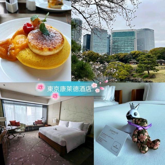 🌸東京康萊德酒店🌸飽覽東京海灣美景