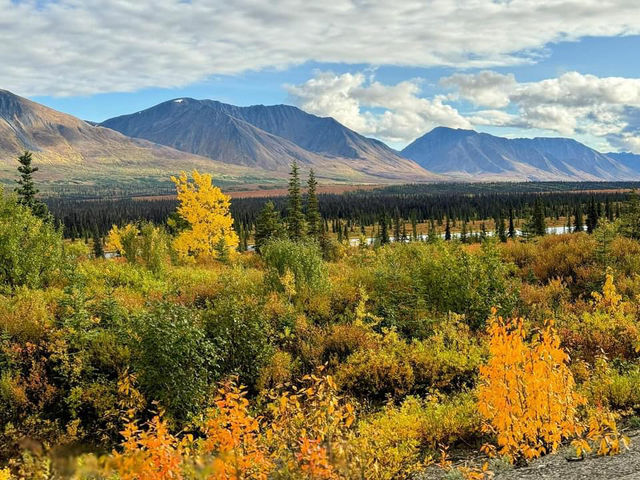 Autumn in Cantwell 🗺️
