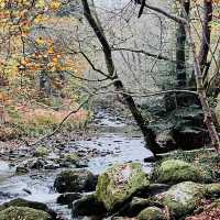 National Gem of Ullswater: Aira Force Adventure