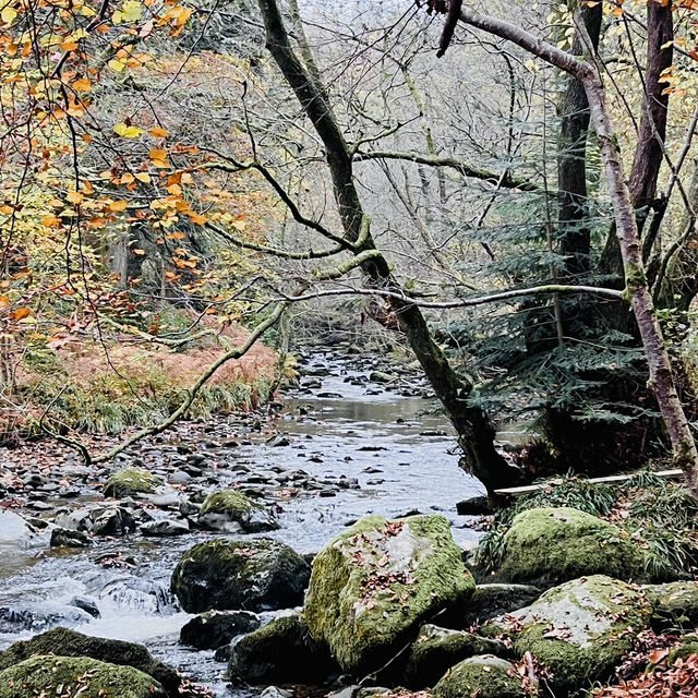 National Gem of Ullswater: Aira Force Adventure