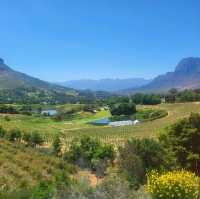 Stellenbosch quick visit