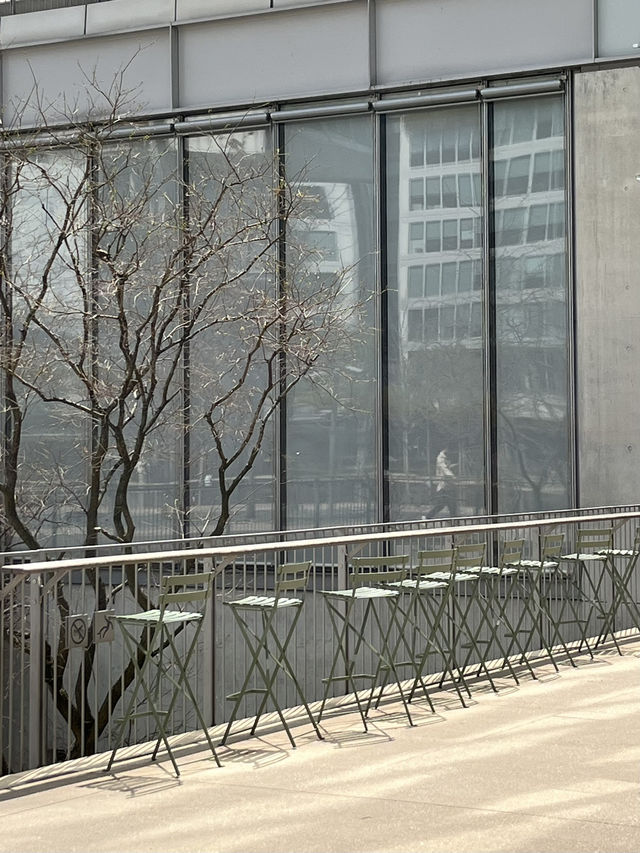 Hangzhou | Cosy coffee shop with good special coffee choices