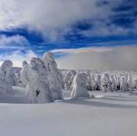 The splendid view of the snow 