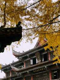 A Tranquil Escape: Exploring Wenshu Monastery in Chengdu 🍃