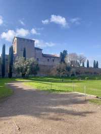 Celebrating Serenity on Palatine Hill