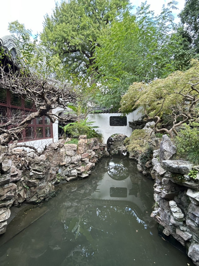 🌆 Shanghai Stopover: Tradition, Art & Hidden Gems 🎨