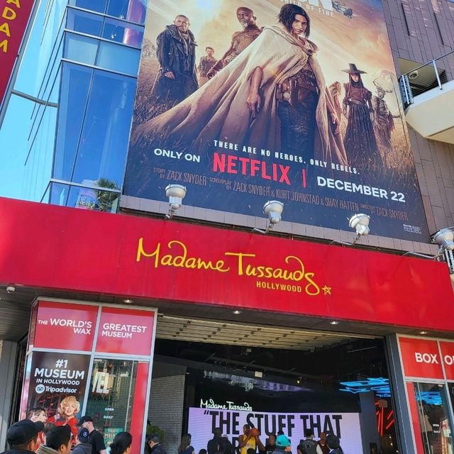 Stroll Among the Stars: The Walk of Fame in LA! ⭐️🎬